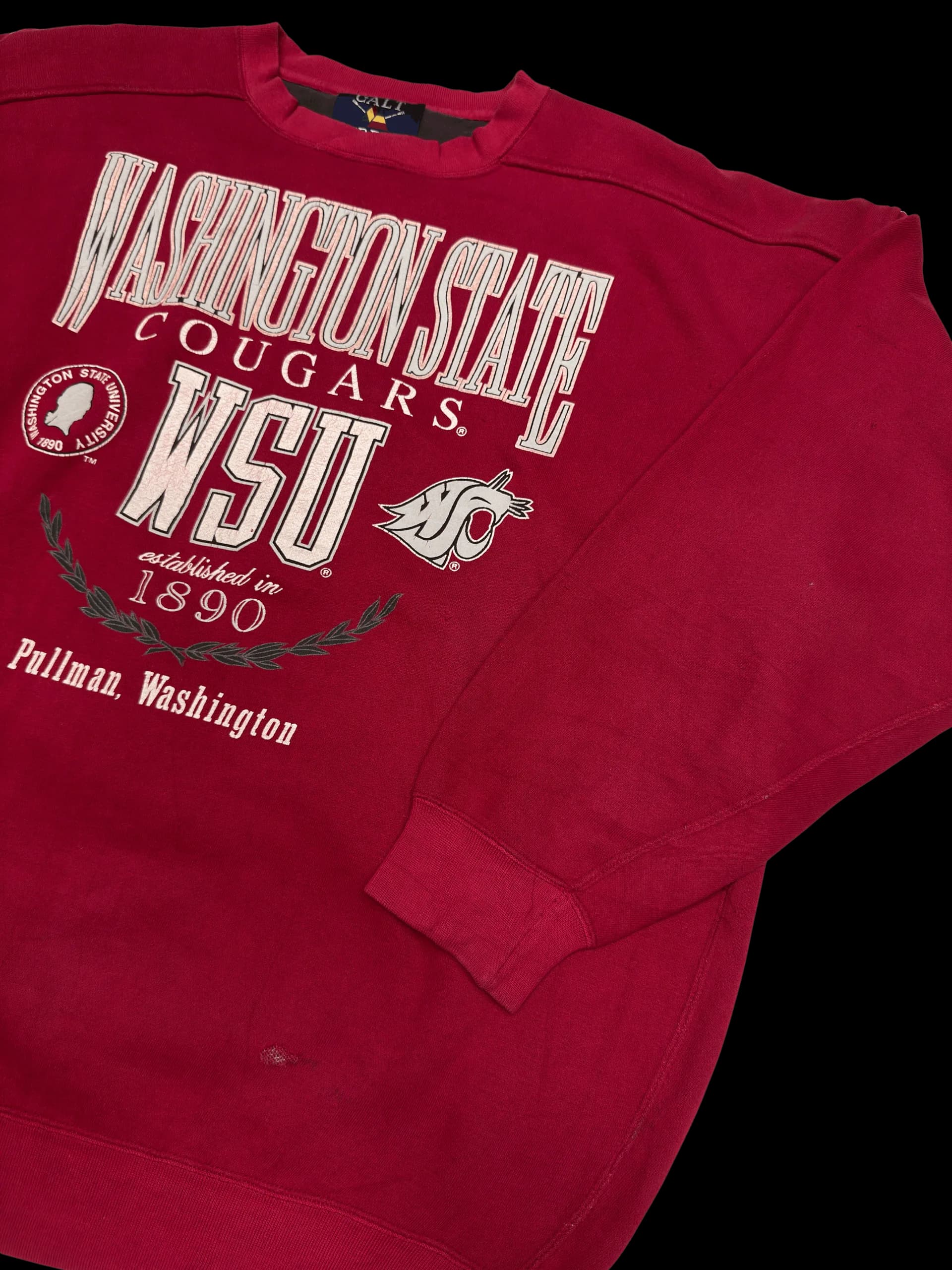 Vintage Sweatshirt-Galt Crew Washington State XL (Red) - image 4