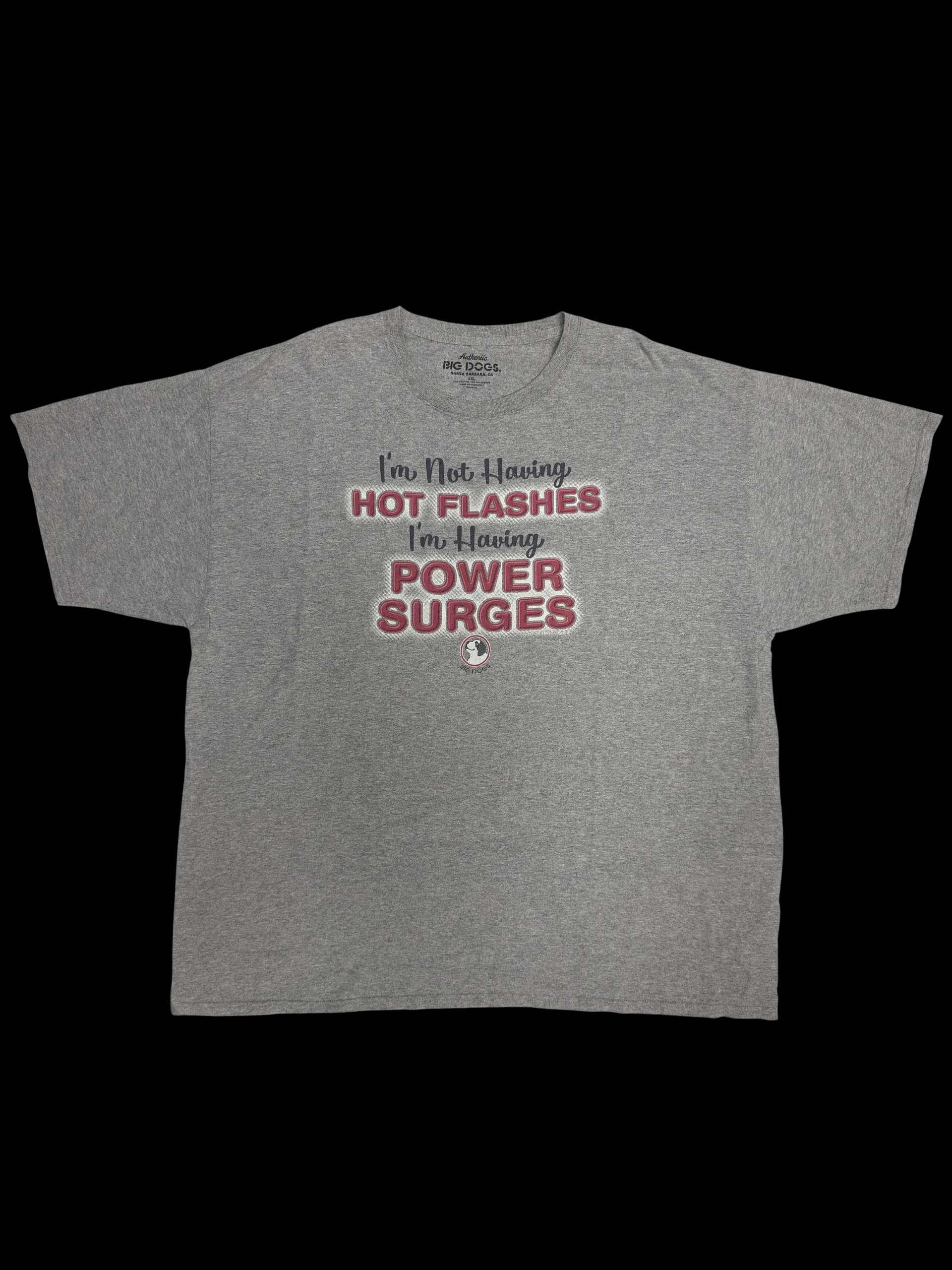 Vintage Tee-Big Dogs 2XL (Grey) - image 1